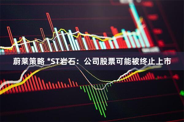 蔚莱策略 *ST岩石：公司股票可能被终止上市